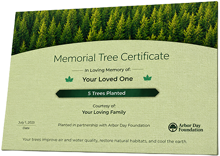 Plant Trees in Memory of Mrs. Alice Stickney-Freeman Baker